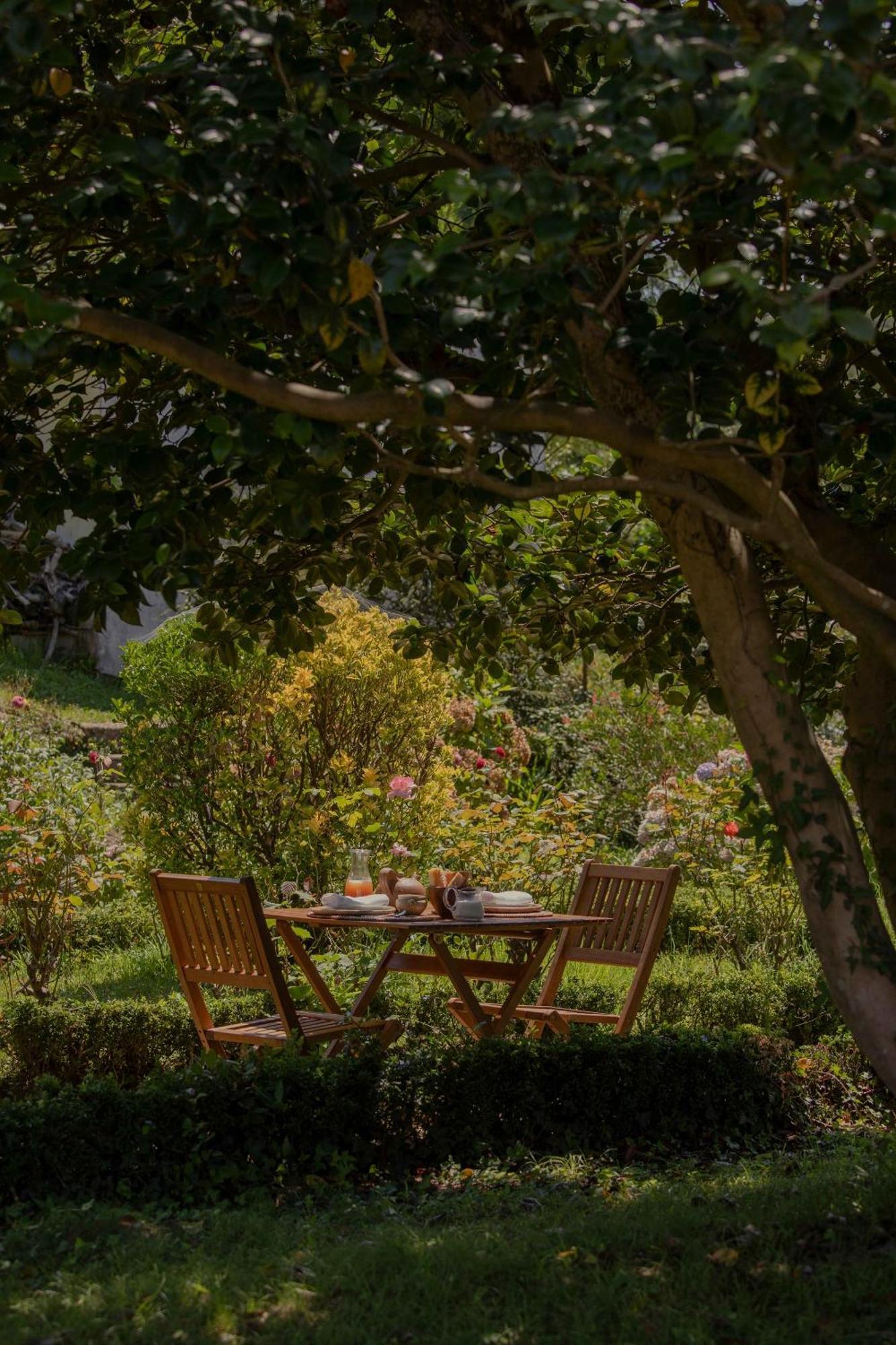 Maison Gamboia, 5 chambres d'hôtes de charme et résidence d'artistes, au calme, vaste jardin fruitier Hasparren Exterior foto